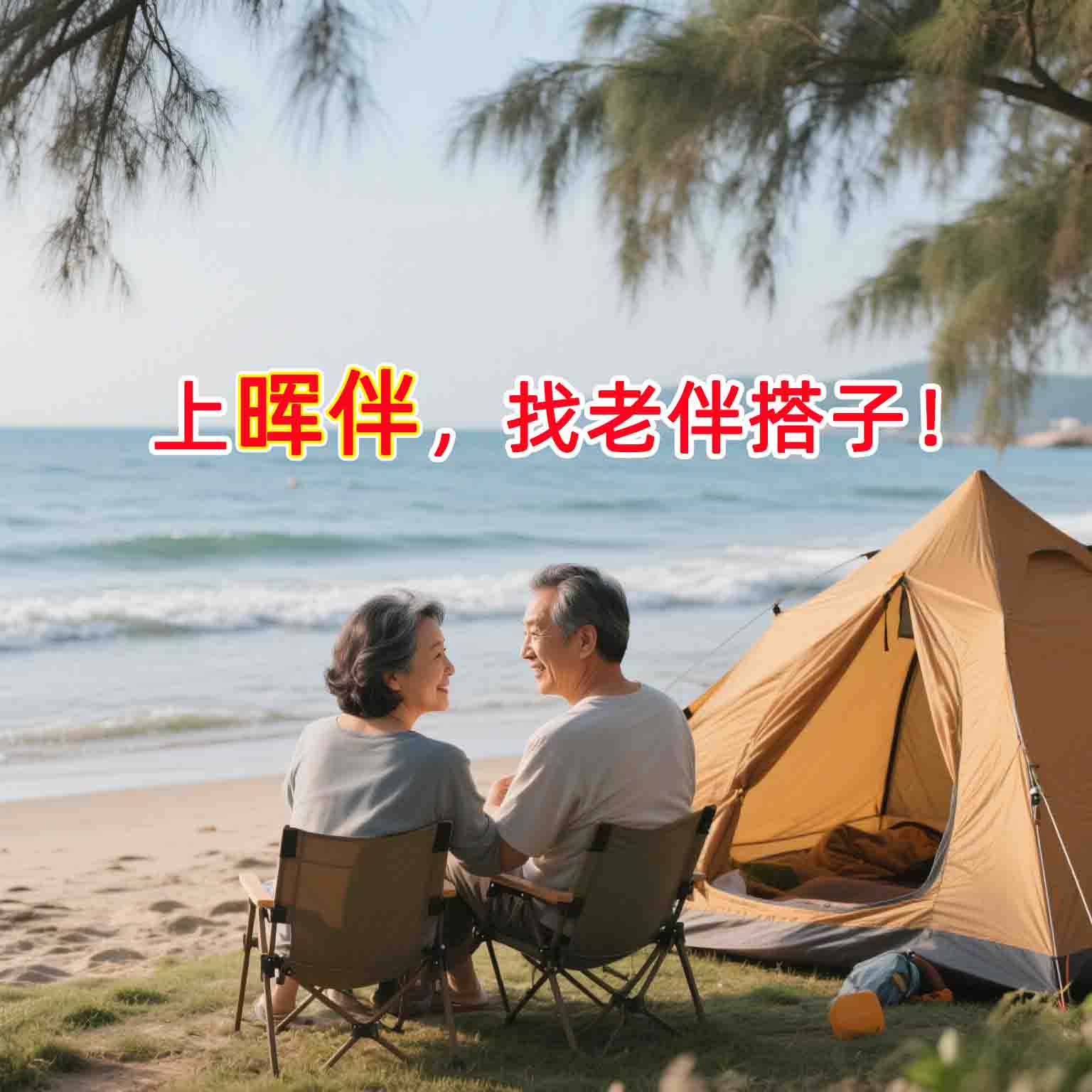 晖伴中老年人找老伴搭子